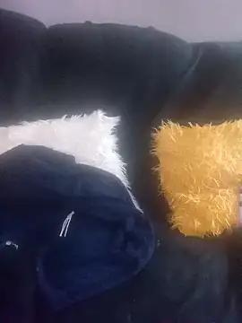 amarrabrown2024 online show from 03/17/25, 07:13