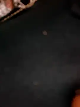 5g4ever online show from 03/25/26, 10:54