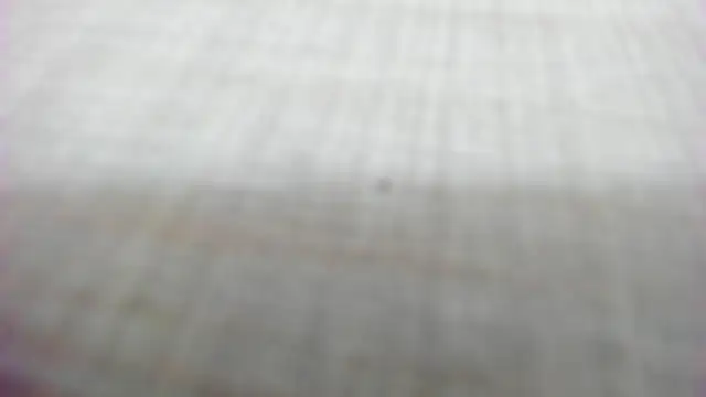 AishaRouhi online show from 02/14/26, 05:26