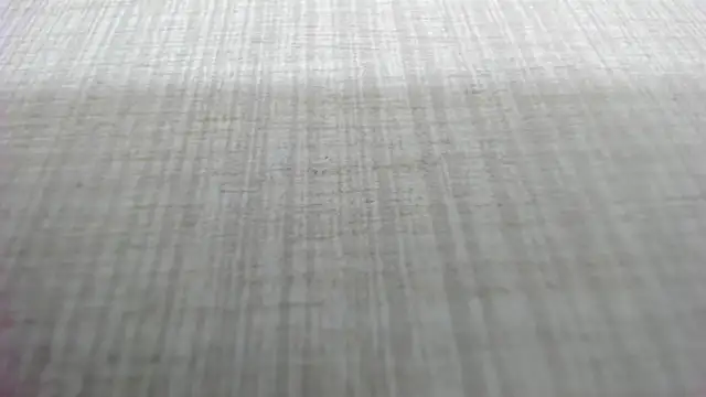 AishaRouhi online show from 03/04/26, 05:13