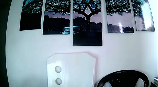 Snapshot of Kevin_Torres chatting on 02/25/25, 08:41 Kevin Torres online show from 02/25/25, 08:41