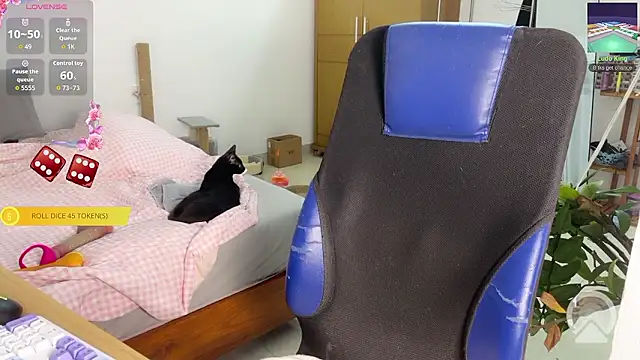 ashy 7999 online show from 03/14/26, 12:43