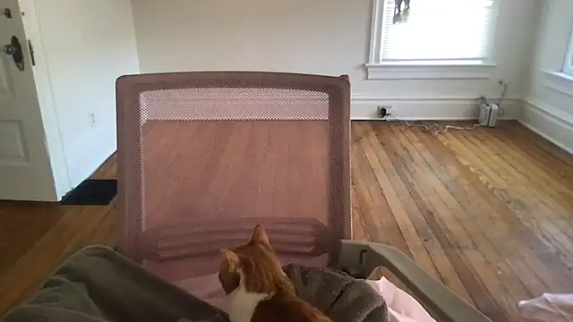 loveofbea online show from 03/04/26, 10:05