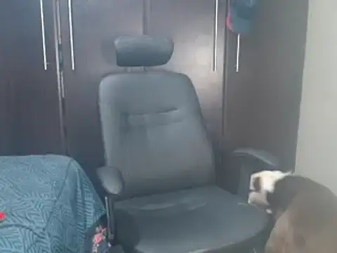 blzed420 online show from 02/15/25, 11:14