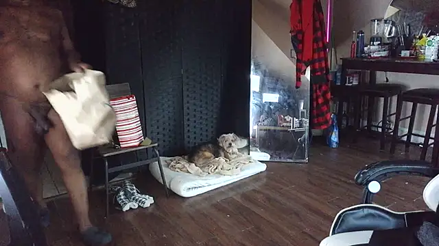 bigshh8 online show from 01/11/26, 12:04