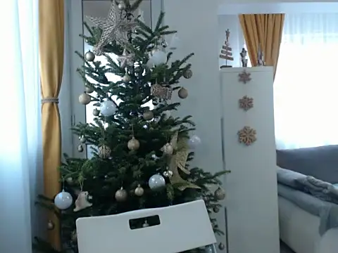 GoldenMark online show from 12/20/24, 12:05