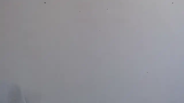 Niurca01  online show from 09/26/25, 03:49