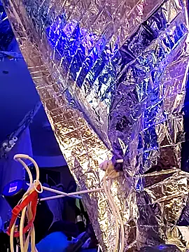 gurlnips online show from 03/21/25, 11:33