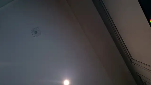 Snapshot of Liv_Fay chatting on 12/28/24, 02:10 Liv Fay online show from 12/28/24, 02:10