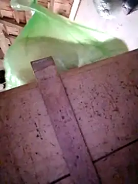 Hotpussy3ox online show from 12/20/25, 03:13