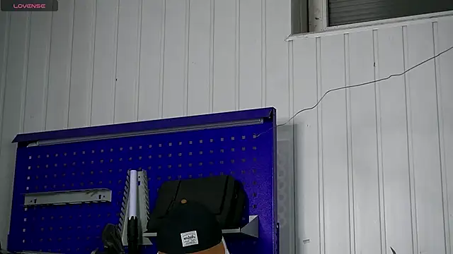 dustyn fox online show from 11/15/25, 03:08