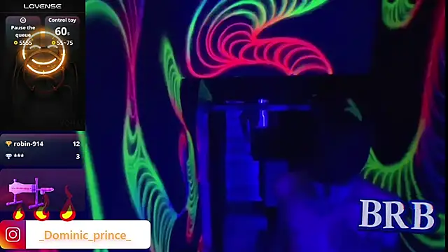 DominicPrince online show from 01/13/26, 04:12