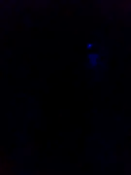 dotado20robson online show from 02/16/26, 04:41