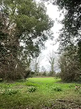 Alicia Hot1 online show from 02/10/25, 02:05