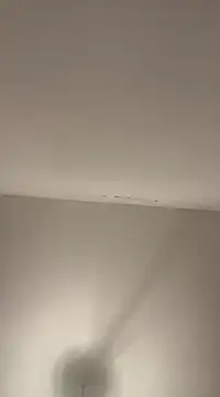 petan33 online show from 12/18/24, 07:41