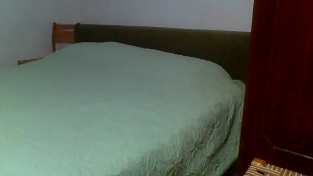 petan33 online show from 09/11/25, 06:41