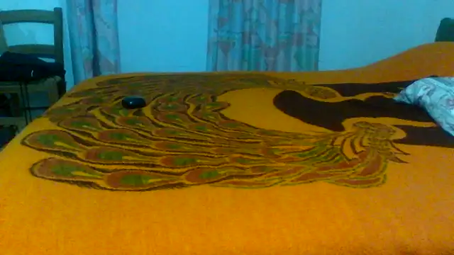 petan33 online show from 10/20/25, 07:47