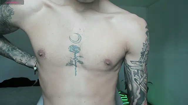 Damon  333 online show from 04/13/26, 06:02