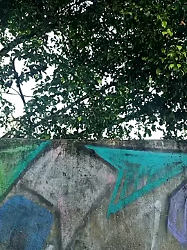 IgoramorimGG online show from 04/04/26, 10:02