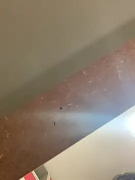 smithrosinha online show from 09/19/25, 05:24