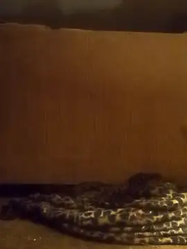 luke thighwalker2469 online show from 02/08/25, 01:11