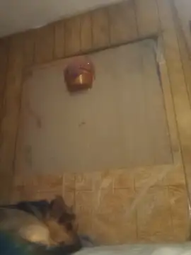 luke thighwalker2469 online show from 02/15/25, 01:16