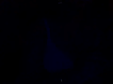 Snapshot of sanam_rose chatting on 01/02/25, 12:03 sanam rose online show from 01/02/25, 12:03