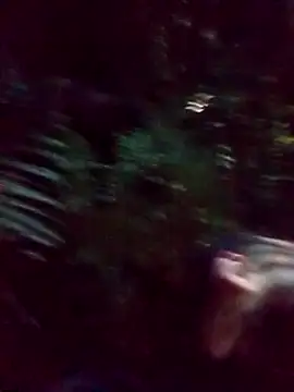 mis312 online show from 03/05/25, 02:36