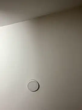 Freya Artemisa online show from 02/13/26, 08:38