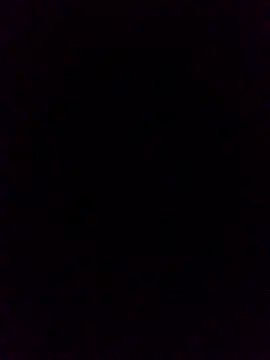 Snapshot of WrongedParvo chatting on 10/19/25, 11:49 WrongedParvo online show from 10/19/25, 11:49