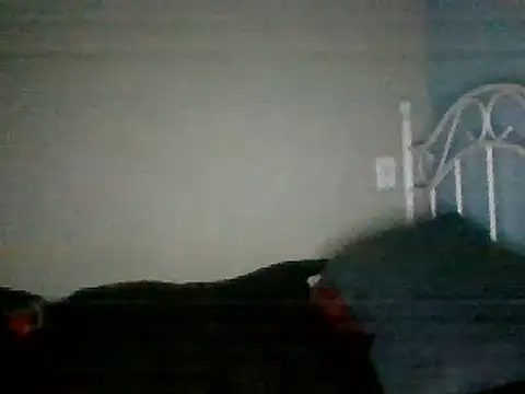 SmokingSloth online show from 03/16/25, 08:21