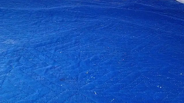 anisha x online show from 10/25/25, 07:19