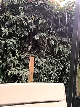 Fun Everywhere online show from 03/14/25, 08:38