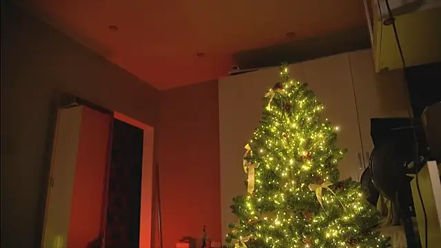 Snapshot of Arianna_Richi chatting on 12/30/24, 08:54 Arianna Richi online show from 12/30/24, 08:54