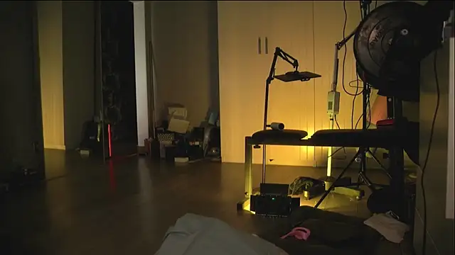 Snapshot of Arianna_Richi chatting on 02/27/25, 09:00 Arianna Richi online show from 02/27/25, 09:00