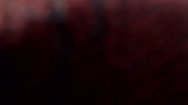 1BECHA1 online show from 03/05/26, 02:35