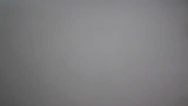 Cute-Tanya online show from 02/10/26, 01:59