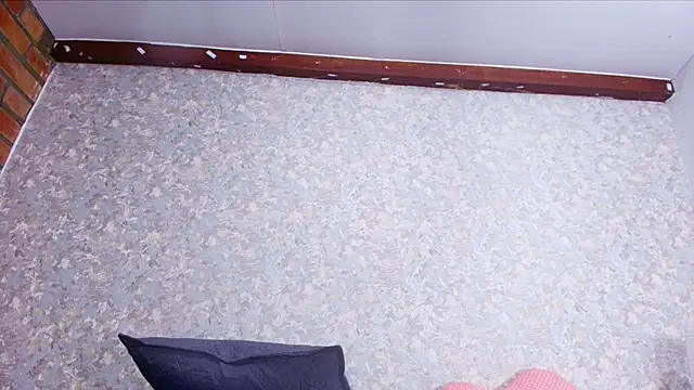 nicol f online show from 11/27/25, 03:08