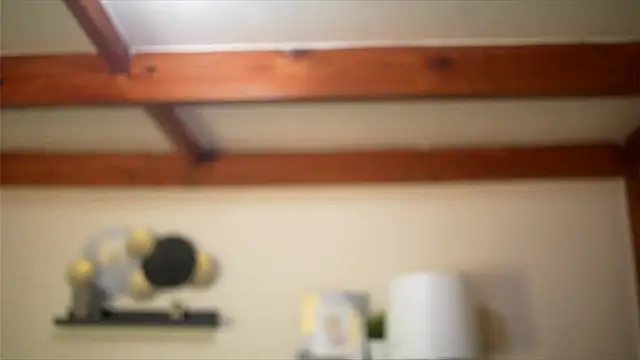 Bellis Perenis online show from 02/18/26, 09:05