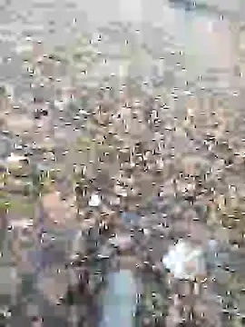 Nik888Nik888 online show from 01/09/25, 08:03