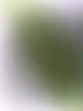 Snapshot of mrwright878787 chatting on 12/27/24, 07:14 mrwright878787 online show from 12/27/24, 07:14