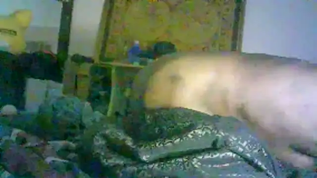 DI4MOND FIR3 online show from 02/02/26, 12:48