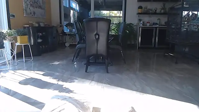 Snapshot of Toy-Daddy chatting on 10/28/25, 06:43 Toy-Daddy online show from 10/28/25, 06:43