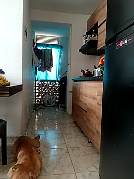 LEIRIS Y FRED 01 online show from 01/19/26, 02:43