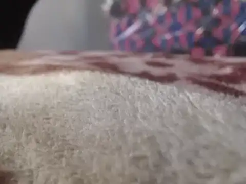 Snapshot of hoittytoittyxx chatting on 03/03/25, 03:20 hoittytoittyxx online show from 03/03/25, 03:20