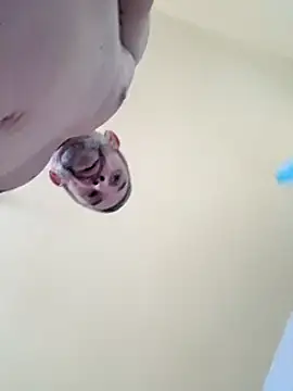 Snapshot of chris_sbh chatting on 02/01/25, 02:45 chris sbh online show from 02/01/25, 02:45