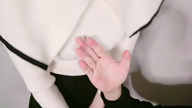 Snapshot of JP-MINT_oO_investigation_ chatting on 02/01/25, 03:41 JP-MINT oO investigation online show from 02/01/25, 03:41