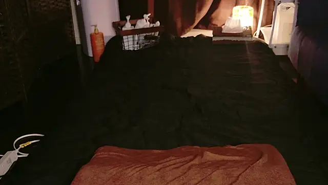 Snapshot of JP-MINT_oO_investigation_ chatting on 10/08/25, 10:51 JP-MINT oO investigation online show from 10/08/25, 10:51