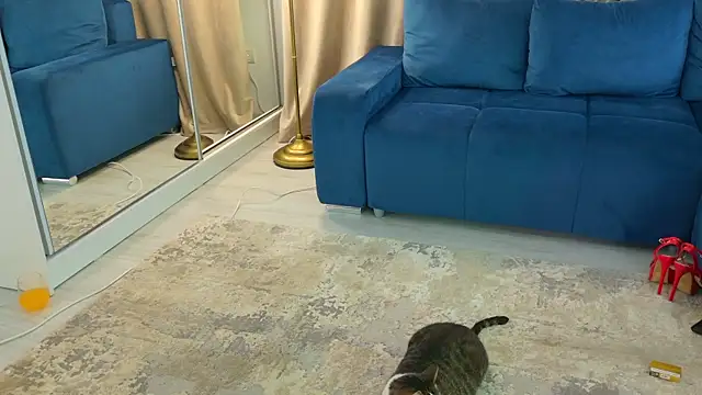 Addictive T online show from 02/12/25, 04:54