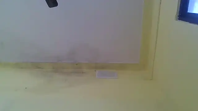 Nitya-Mahesh online show from 01/20/25, 09:24